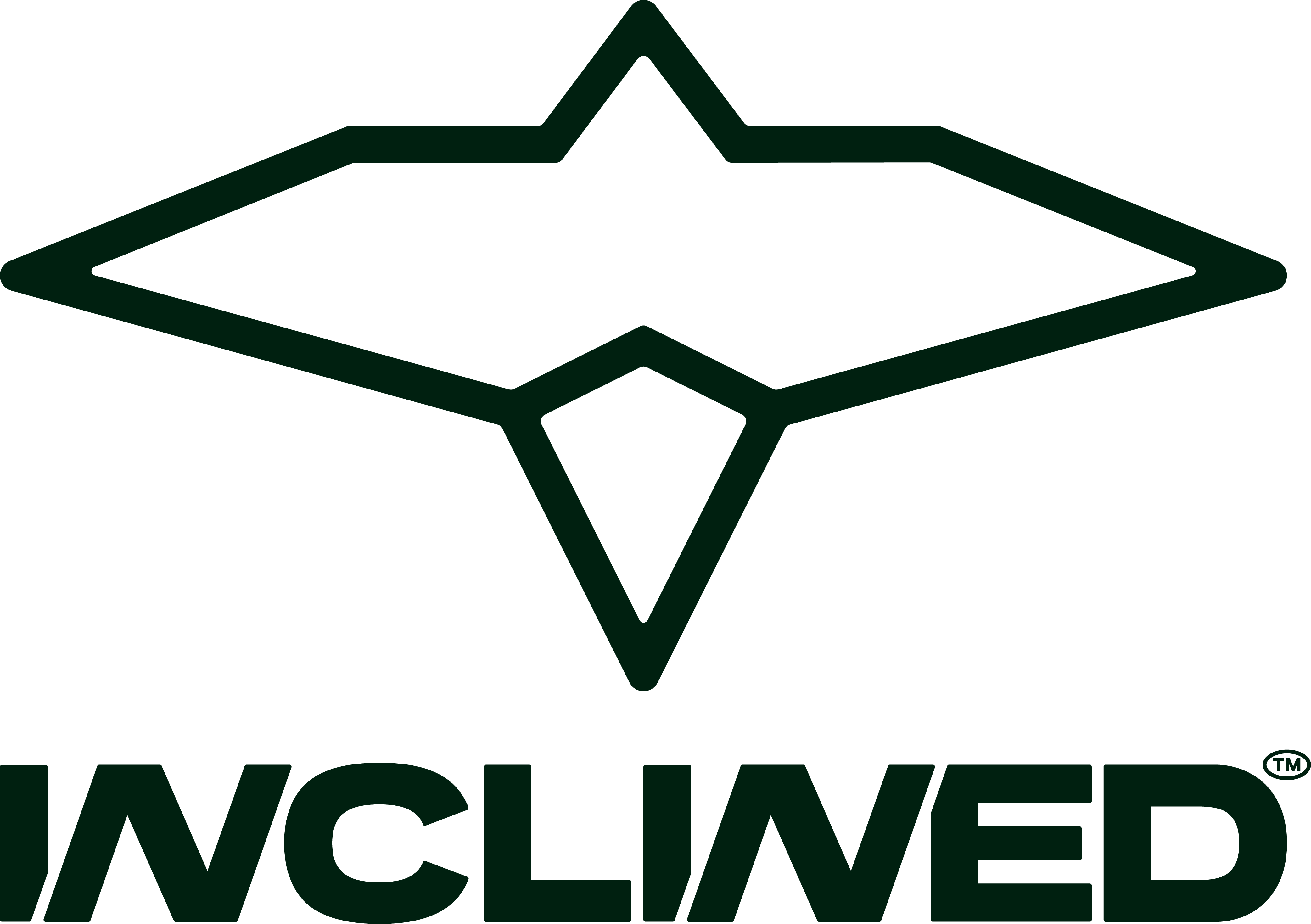 Inclined midnight green logo and text